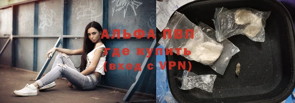 спайс Михайлов