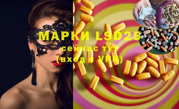 спайс Михайлов