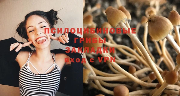 спайс Михайлов