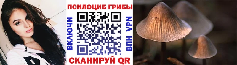 даркнет сайт  Мурино  Псилоцибиновые грибы прущие грибы 