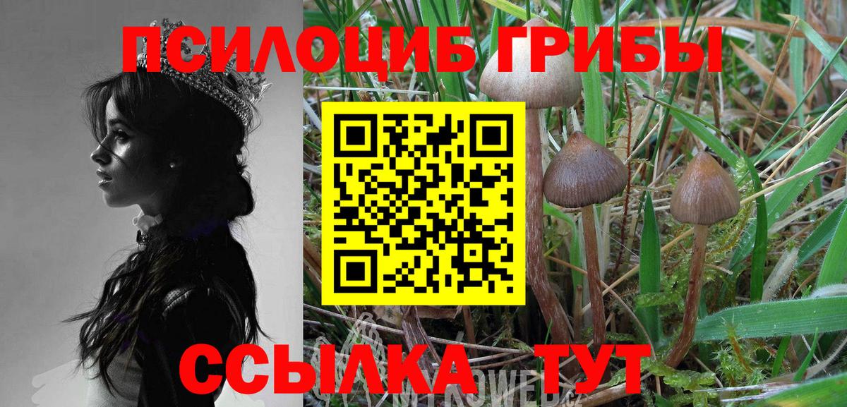 Псилоцибиновые грибы мухоморы Мурино