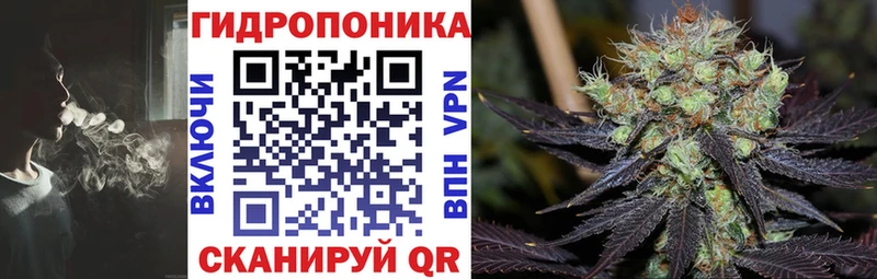 Шишки марихуана сатива  цены наркотик  Мурино 